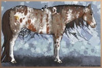 Horse Color:Liver Chestnut Sabino Appaloosa and White Spotted Liver Red Dun Rabicano