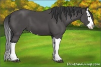 Horse Color:Black Splash