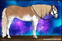 Horse Color:White Spotted Chestnut Splash 