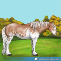 Horse Color:White Spotted Silver Black Pearl