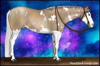 Horse Color:White Spotted Chocolate Silver Black Pearl Sabino Splash 