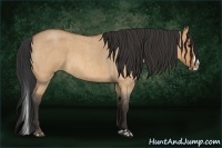Horse Color:Bay Roan Dun Splash 