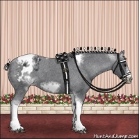 Horse Color:White Spotted Black Splash Tobiano Frame Varnish 