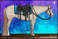 Horse Color:Red Dun Sabino Appaloosa Brindle 