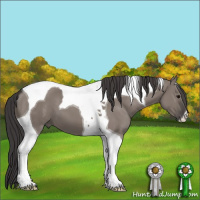 Horse Color:Smoky Grullo Tobiano