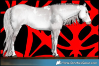 Horse Color:White Spotted Chocolate Silver Grullo Chinchilla Onyx Sabino 