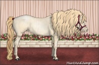 Horse Color:Buckskin Roan Pearl  and Buckskin Roan Pearl 