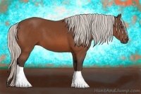 Horse Color:Silver Bay 