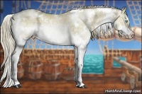Horse Color:White Spotted Liver Red Dun Ice Pearl Sabino Splash