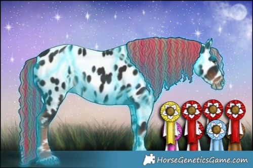 Horse Color:Painted Thunderstruck Liver Chestnut Appaloosa 