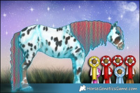 Horse Color:Painted Thunderstruck Liver Chestnut Appaloosa 