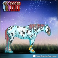 Horse Color:Painted Thunderstruck Liver Chestnut Leopard