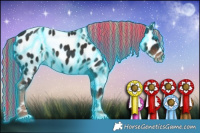 Horse Color:Painted Thunderstruck Liver Chestnut Appaloosa 