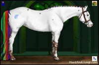 Horse Color:Painted Chestnut Fewspot 