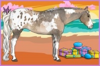 Horse Color:Liver Chestnut Tobiano Appaloosa and White Spotted Red Dun Splash Tobiano