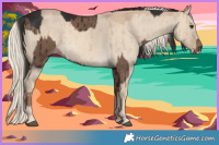 Horse Color:Liver Red Dun Brindle and Cremello Dun Brindle