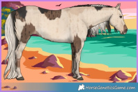 Horse Color:Liver Red Dun Brindle and Cremello Dun Brindle