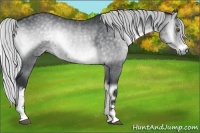 Horse Color:White Spotted Silver Blue Onyx Chinchilla 