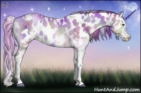 Horse Color:Nacre Watercolor White Spotted Gold Champagne Onyx Splash Appaloosa 