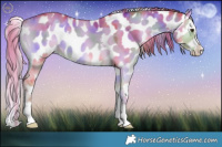 Horse Color:Nacre Watercolor White Spotted Gold Champagne Onyx Splash Appaloosa 