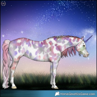 Horse Color:Nacre Watercolor White Spotted Gold Champagne Onyx Splash Leopard 