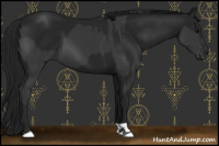Horse Color:Black and Gray Black