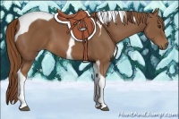Horse Color:Chestnut Tobiano