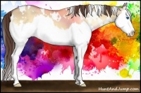 Horse Color:White Spotted Classic Cream Champagne Onyx Splash 