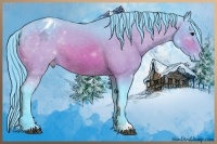 Horse Color:Watercolor Bay Appaloosa 