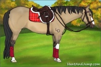 Horse Color:Brown Dun 