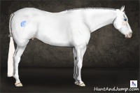 Horse Color:White Spotted Silver Buckskin Pearl Frame
