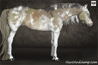 Horse Color:White Spotted Liver Red Dun 