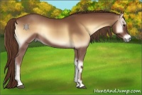 Horse Color:Red Onyx