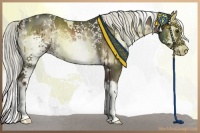 Horse Color:White Spotted Liver Red Onyx Splash 
