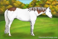 Horse Color:Silver Brown Splash 