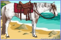 Horse Color:White Spotted Chestnut Tobiano 