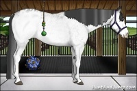 Horse Color:White Spotted Black Blanket 