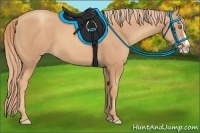 Horse Color:Gold Champagne Splash 