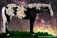 Horse Color:Watercolor Palomino Sabino 