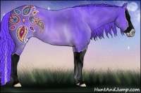 Horse Color:Watercolor Brown Splash Appaloosa Rabicano 