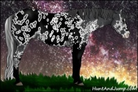 Horse Color:Black Sabino Splash Appaloosa 