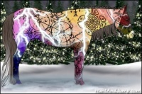 Horse Color:Brown Ice Dun Splash Appaloosa 