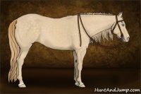 Horse Color:Chocolate Perlino Sabino