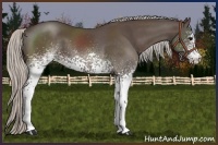 Horse Color:White Spotted Silver Black 