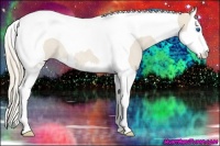 Horse Color:Smoky Creme Splash Tobiano Rabicano