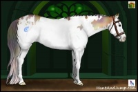 Horse Color:Nacre White Spotted Bay Onyx Splash