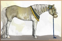 Horse Color:White Spotted Chocolate Palomino Sabino Splash 