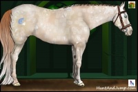 Horse Color:White Spotted Buckskin Ice Pearl 