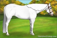 Horse Color:White Spotted Bay Dun Splash Frame