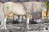 Horse Color:Chocolate Palomino Pearl Sabino Splash 